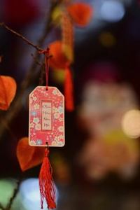 xì dách di động F8bet